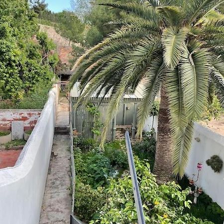 Piso Super Luminoso En El Centro Διαμέρισμα Ταραγόνα Εξωτερικό φωτογραφία